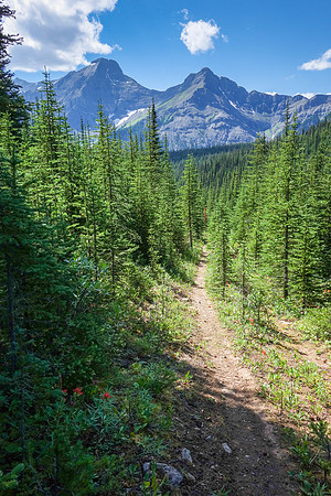 Hiking out along James Walker Creek.