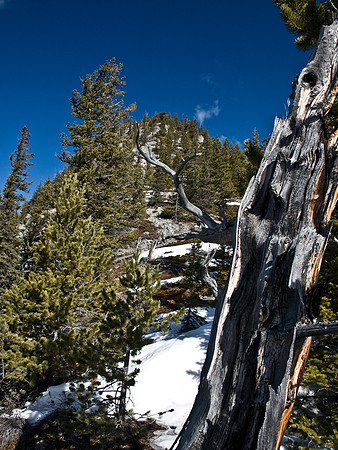 On the south ridge.