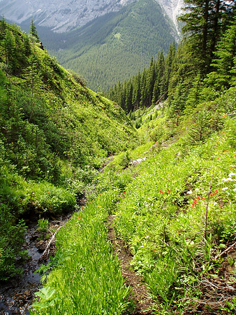 Looking back down the steep approach drainage.