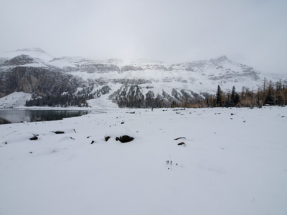 The views have not improved down at Rockbound Lake.