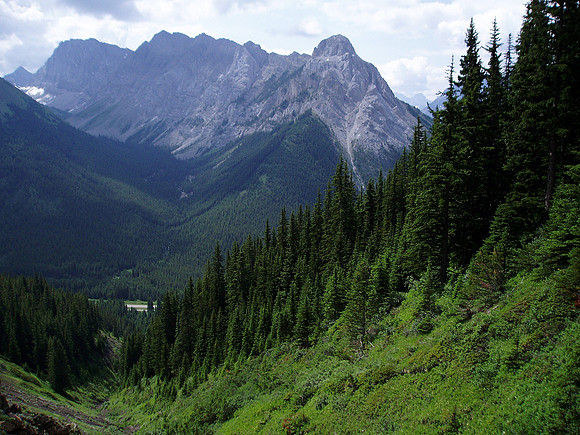 Looking back down the approach drainage to Mount Roberta (R).