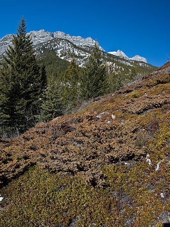 The lower south ridge.