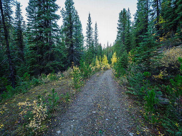 Biking the Ottertail Fire Road.
