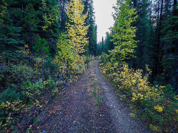 Biking the Ottertail Fire Road.