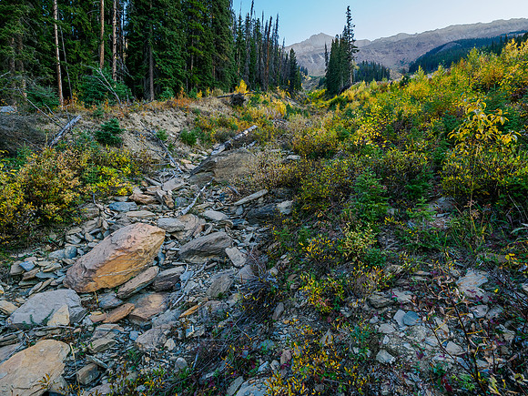 Ascending a gully on the SW slopes of Owen.
