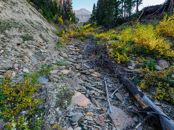 Ascending a gully on the SW slopes of Owen.