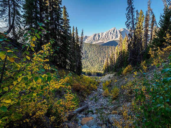 Views back down the gully.