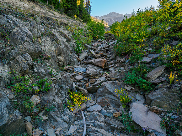 Ascending a gully on the SW slopes of Owen.