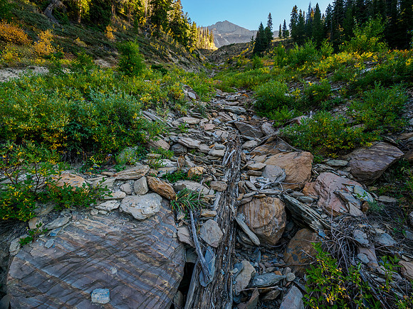 Ascending a gully on the SW slopes of Owen.