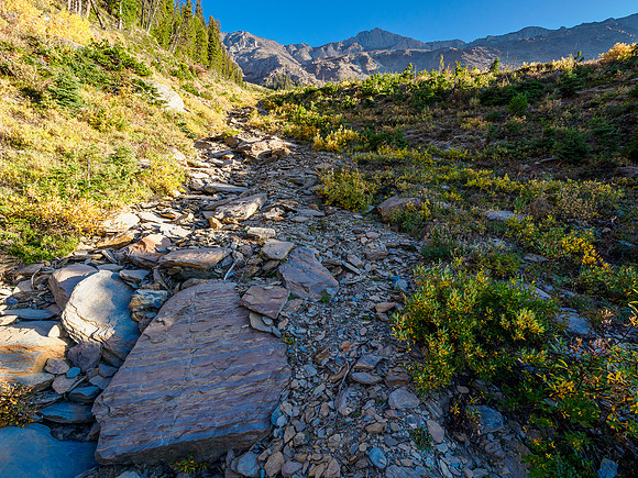 Ascending a gully on the SW slopes of Owen.