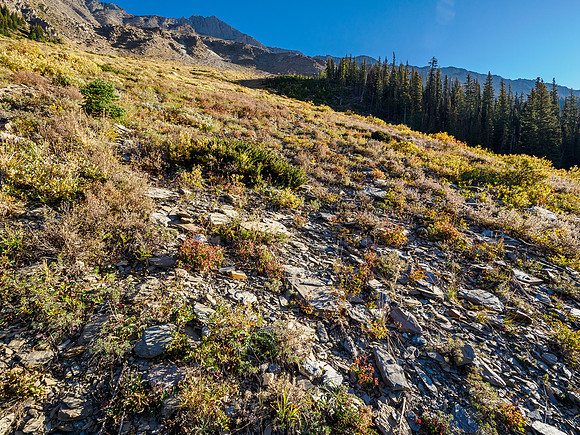 Open SW slopes - on ascent I deviated climber's right from the gully before traversing back to it.