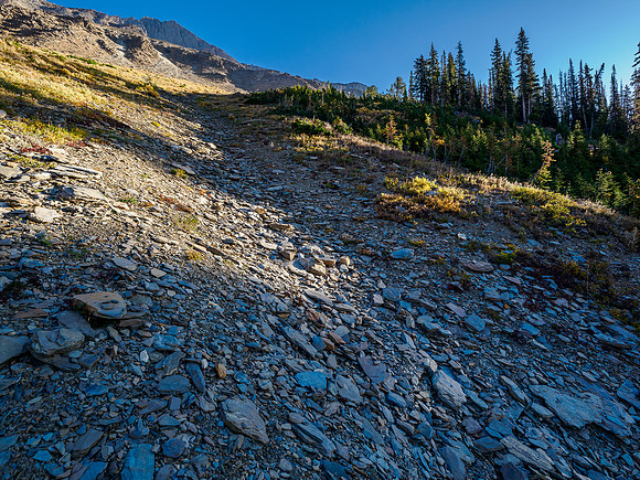 Open SW slopes - on ascent I deviated climber's right from the gully before traversing back to it.