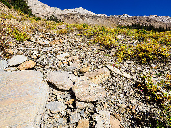 Views back up the gully on the SW face.