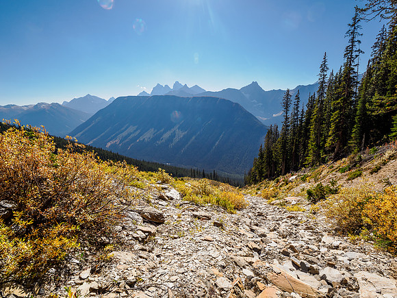 At treeline in the SW gully.