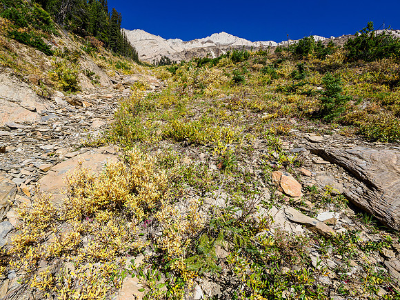 Views back up the gully on the SW face. You can see the summit cliffs from down here already.