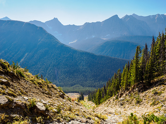 At treeline in the SW gully.