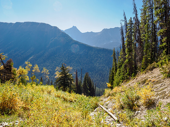 At treeline in the SW gully.