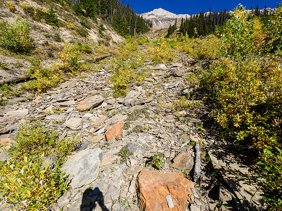 Views back up the gully on the SW face. You can see the summit cliffs from down here already.