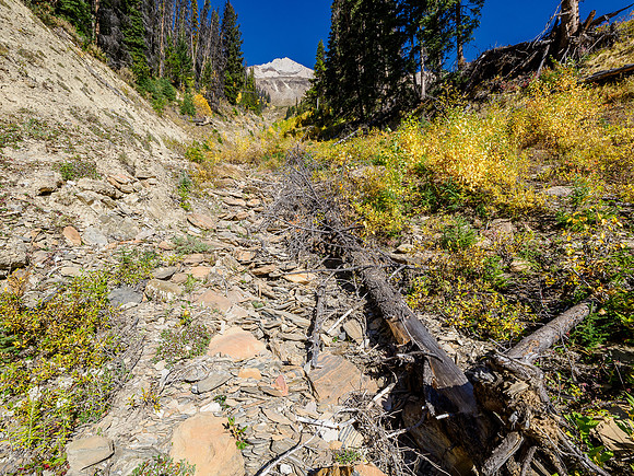Views back up the gully on the SW face. You can see the summit cliffs from down here already.