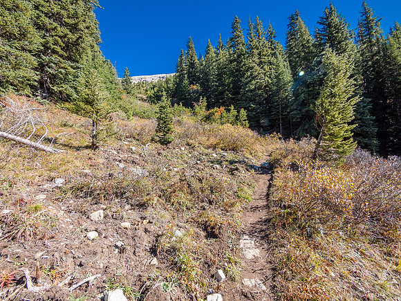 The rotor tilled Grizzly Bear slope was just as intimidating as I remembered.