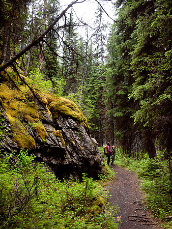 The road eventually narrows to a path just before the gravel / stream flats.