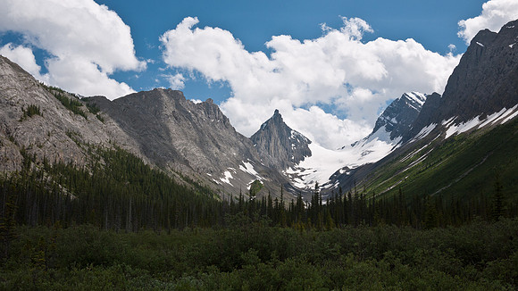 Looking at the Robertson Glacier from the flats