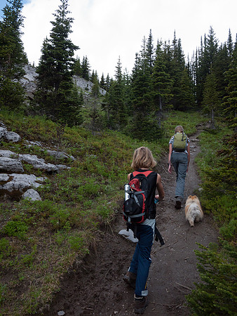 On the final trail to the pass.