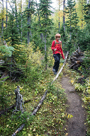 The trail back is pretty obvious.