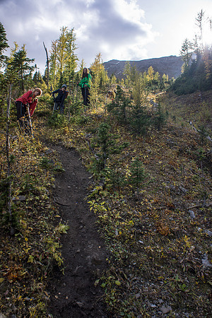 Descending the 'gulch' Gillean references in her guidebook for the ascent of Tent Ridge.