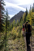 Coming out of the trees and heading for the first high point.