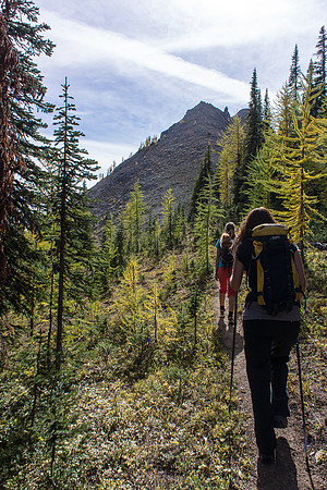 Coming out of the trees and heading for the first high point.