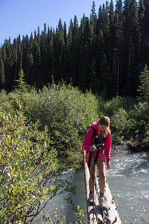 This log bridge is obviously temporary and the creek was flowing OVER part of it on the way back!