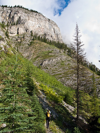 Wonder Pass Trail