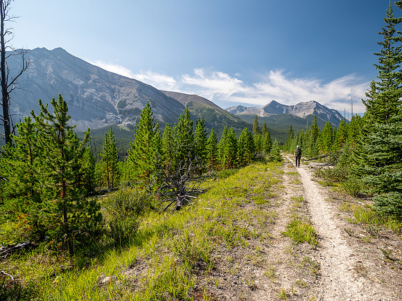 Hiking the Red Deer River Trail.