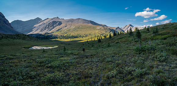 Hiking the McConnell Meadows above the north branch of McConnell Creek.