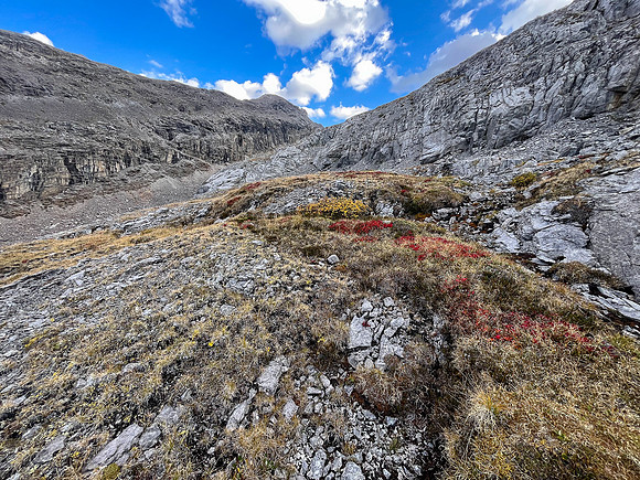 Ascending SW out of the Roaring Creek Valley to upper tarns under Little Cataract Peak.