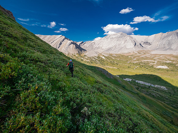 Descending into the upper NW corner of McConnell meadows under Smoky Mountain.