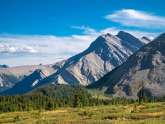 Hiking the McConnell Meadows above the north branch of McConnell Creek.