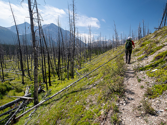 Hiking the Red Deer River Trail.