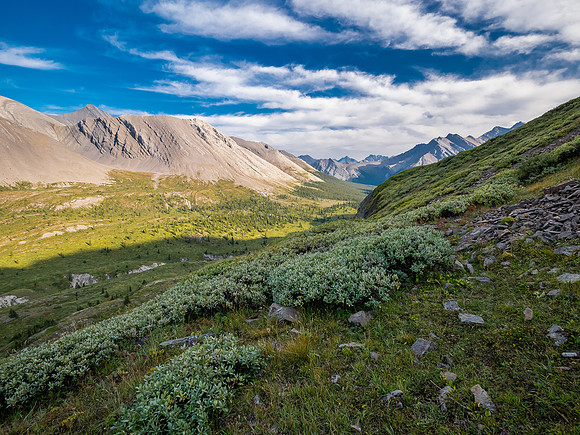 Descending into the upper NW corner of McConnell meadows under Smoky Mountain.