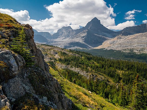 Traversing east above Roaring Creek to Mount Goodair.