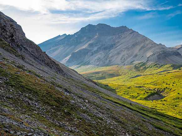 Descending into the upper NW corner of McConnell meadows under Smoky Mountain.