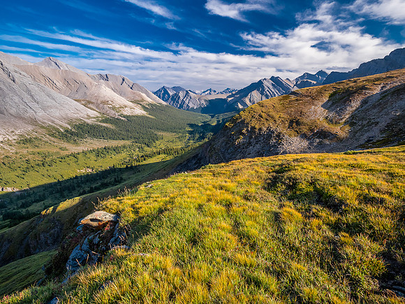 Hiking the McConnell Meadows above the north branch of McConnell Creek.