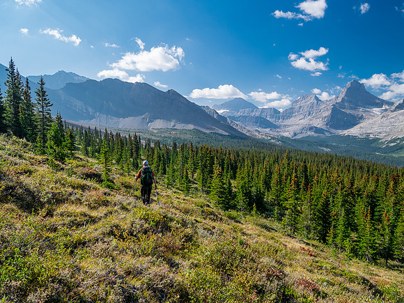 Traversing east above Roaring Creek to Mount Goodair.