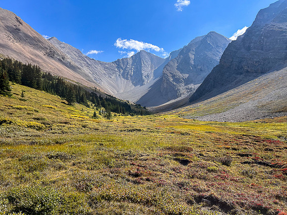 Traversing east above Roaring Creek to Mount Goodair.