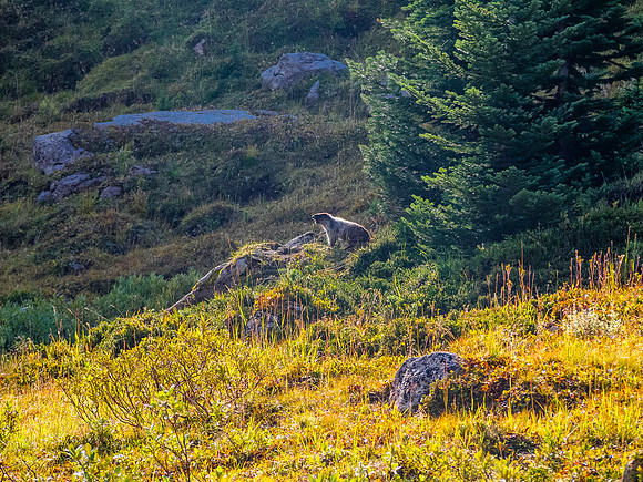 Hiking down the west branch of McConnell Creek.