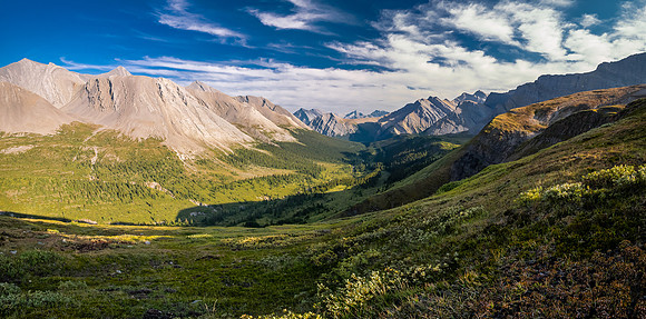 Hiking the McConnell Meadows above the north branch of McConnell Creek.