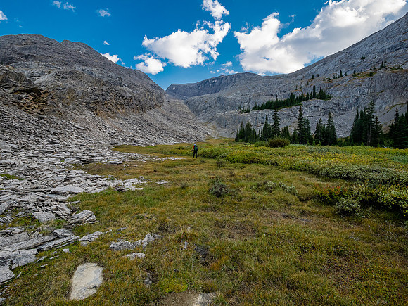 Hiking across the Roaring Creek valley.