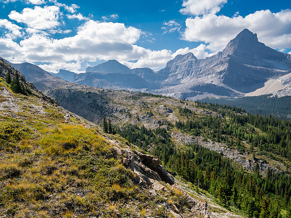 Traversing east above Roaring Creek to Mount Goodair.
