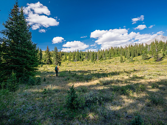 Hiking the McConnell Meadows above the north branch of McConnell Creek.